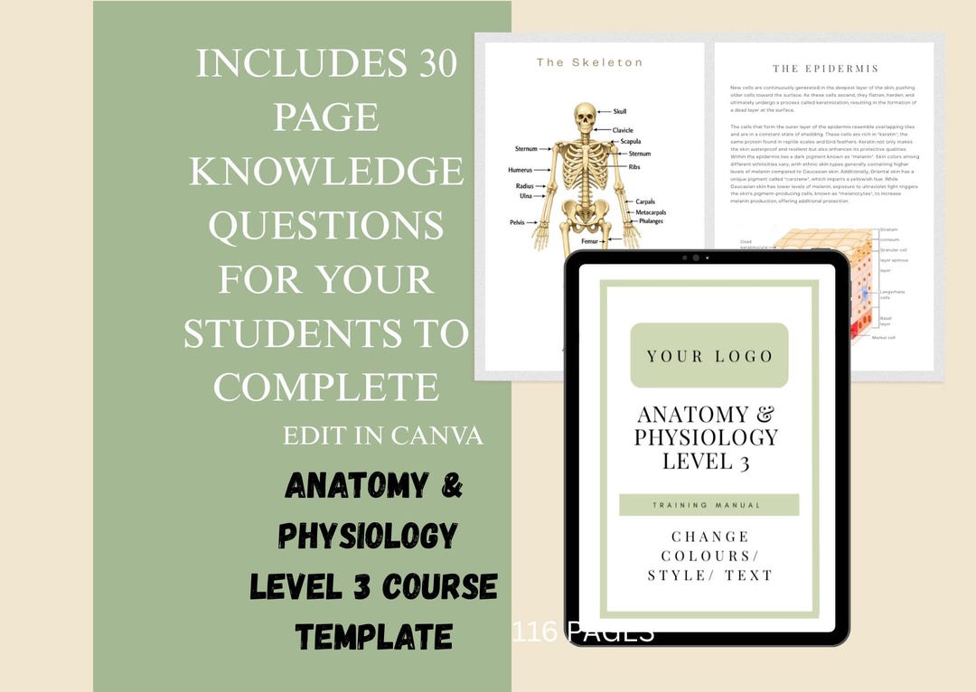 Anatomy &amp; Physiology Course Template With Knowledge Questions - Etsy