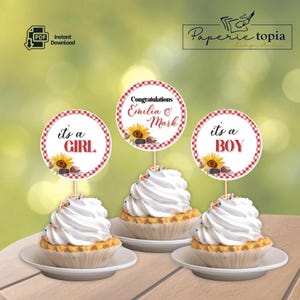Cake Toppers Baby-Q, Printable Baby-Q Picnic Cupcake Toppers, Gingham Baby-Q Cupcake Toppers Canva Templates, Editable Baby-Q Themed Toppers