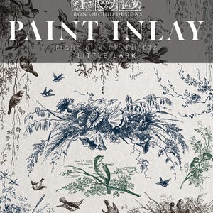 May include: A decorative sheet set with a vintage bird and floral design. The design includes birds, nests, and botanical elements in shades of blue, green, and brown. The text "PAINT INLAY" and "IRON ORCHID DESIGNS" are visible.