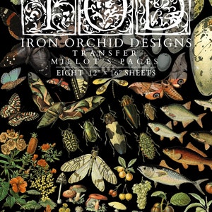 May include: Black background with vintage illustrations of insects, fish, mushrooms, and flowers. The text "Iron Orchid Designs Transfer Millot's Pages" is displayed. The sheets measure 12" x 16".