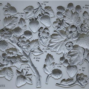 Wild Berries 6x10 IOD Mould by Iron Orchid Designs