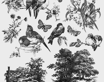 Puede incluir: Ilustraciones en blanco y negro de pájaros, mariposas, flores y árboles. Las imágenes son de estilo vintage, con detalles de línea. Las ilustraciones están dispuestas en un patrón, con varios tamaños y formas. La palabra "Meadowlark" es visible.