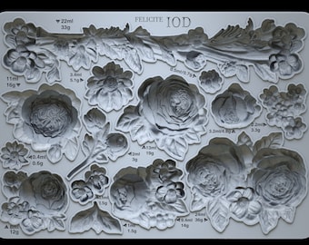 Felicite 5x7 IOD Mould by Iron Orchid Designs