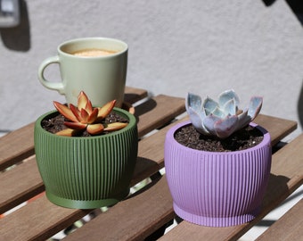 Cute Succulent Planter with Drain Holes and Magnetic Drip Tray - Customizable Colorful Pots, Ideal Plant Gift