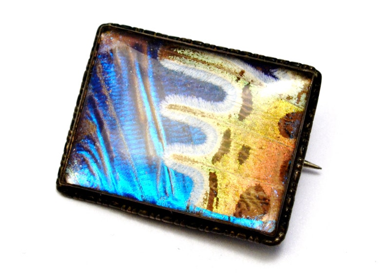 Vintage Art Deco sterling silver hallmarked butterfly wing rectangular brooch pin
