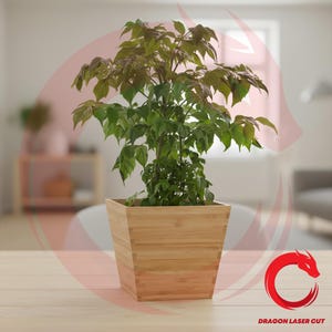 May include: A green leafy plant in a square bamboo planter. The planter is light brown and has a natural wood grain. The plant has multiple green leaves and is in front of a blurred background.