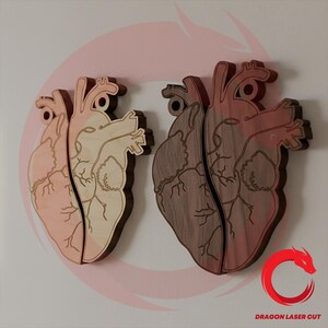 May include: Two anatomical heart wall decorations crafted from wood. The left heart is light-toned, while the right heart is dark-toned. Both feature intricate laser-cut details of veins and arteries. The text DRAGON LASER CUT is visible.