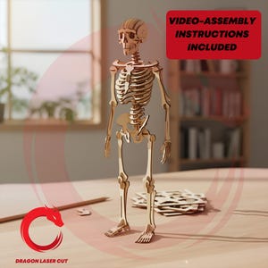 Fichier découpé au laser squelette humain en trois dimensions, lot de SVG, découpe laser glowforge, anatomie, fichiers DXF en bois, modèle vectoriel Eps cnc