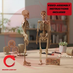 Lasergesneden bestanden driedimensionale menselijk skelet puzzel SVG bundel 3D lasersnijden anatomie houten DXF-bestand Vector sjabloon Eps cnc