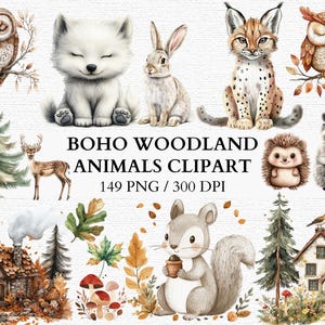 Urocze zwierzęce clipart dla dzieci, małe zwierzątko, sztuka ścienna do pokoju dziecięcego, pastelowe dżunglowe safari, zwierzę PNG, cyfrowe pobieranie, do wydrukowania, dekoracja, natychmiastowe pobieranie