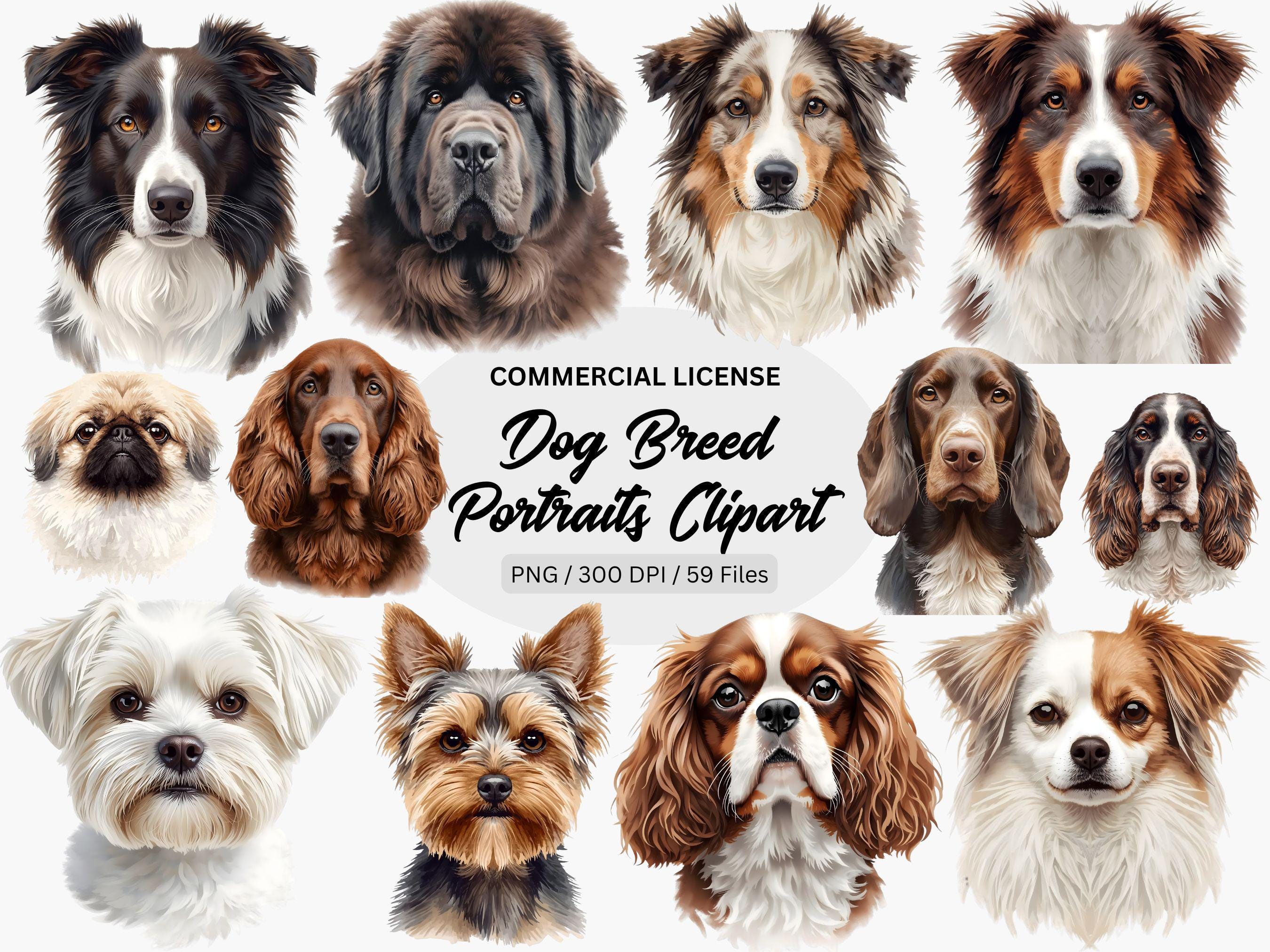 Watercolor Dog Breed Clipart Bundle PNG, Pet Illustration Pack, Dog ...