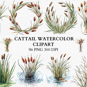 May include: Watercolor clipart featuring cattails in various arrangements. Includes bouquets in vases and bundles, wreaths, and cattails in water. The text reads "Cattail Watercolor Clipart".