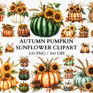 100 Autumn Pumpkin with Sunflower Clipart Set Watercolor Pumpkins Collection Fall Season, Sunflower PNG Thanksgiving Instant download