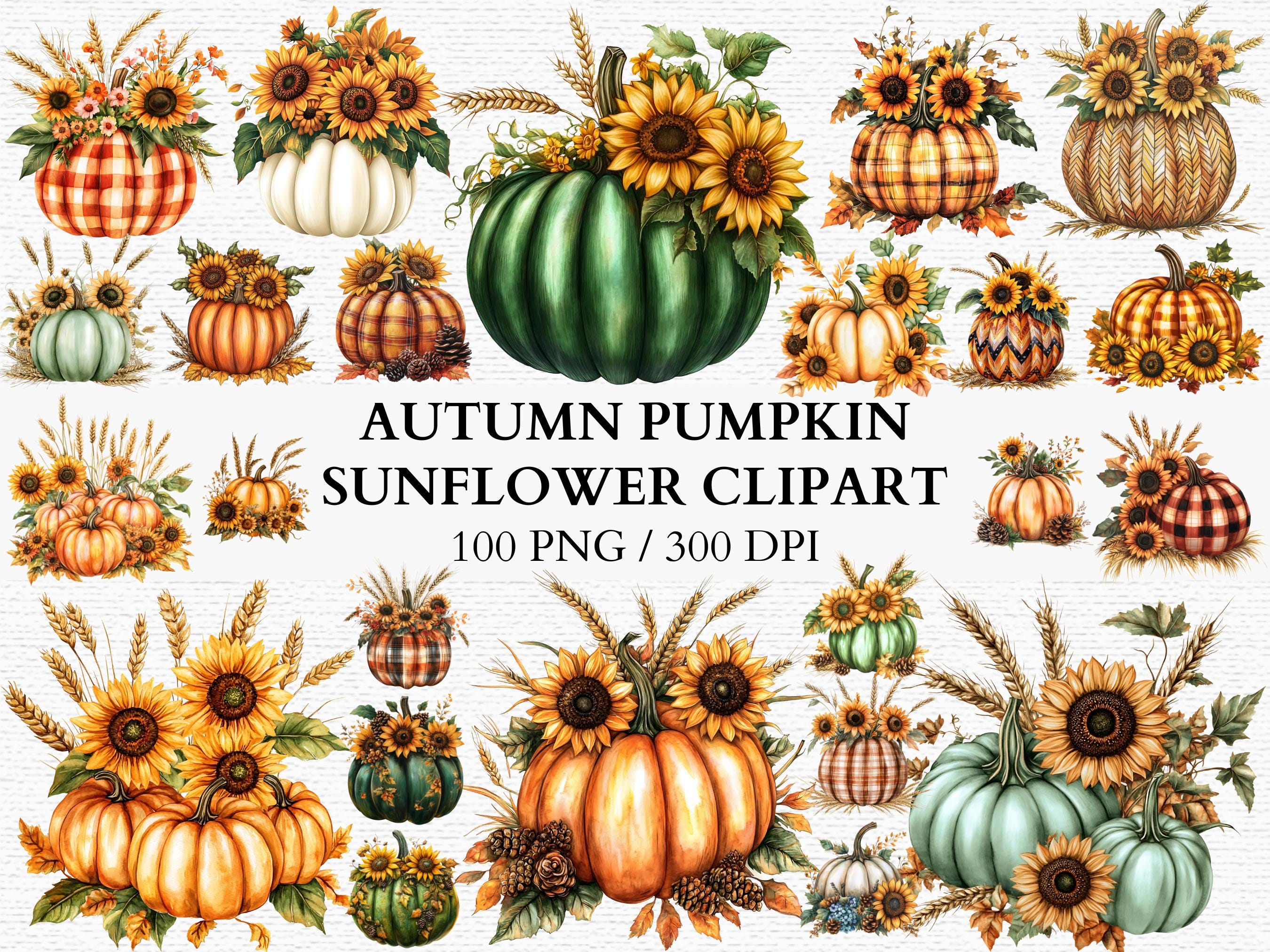 100 Autumn Pumpkin with Sunflower Clipart Set Watercolor Pumpkins Collection Fall Season, Sunflower PNG Thanksgiving Instant download