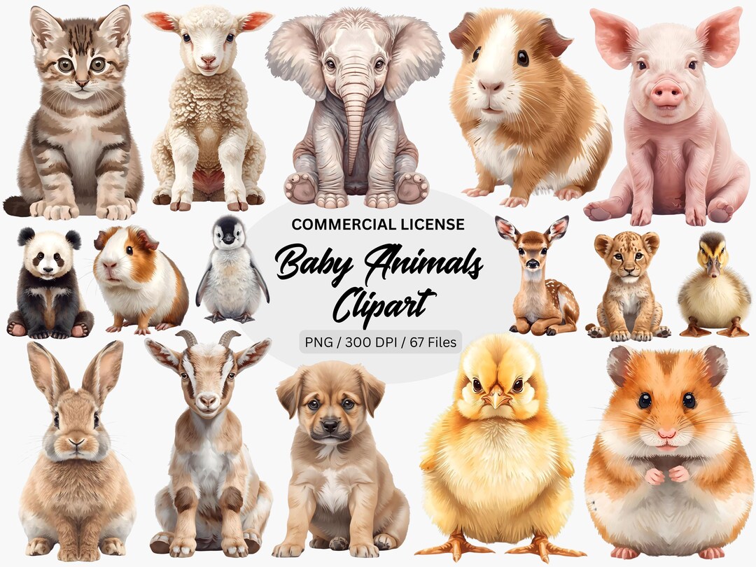 67 PNG Baby Animal Clipart Set, Cute Animal Art Bundle, Farm Jungle ...