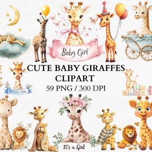 Niedliche Baby Giraffe PNG Clipart Baby Tier Kinderzimmer Dekor Grafiken Giraffe Babypartyeinladungen Aquarell Baby Giraffen Illustrationen