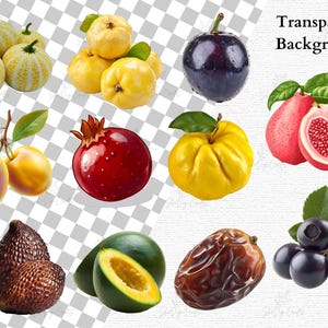 Watercolor Fruit Clipart PNG Bundle Tropical Fruits Sublimation ...