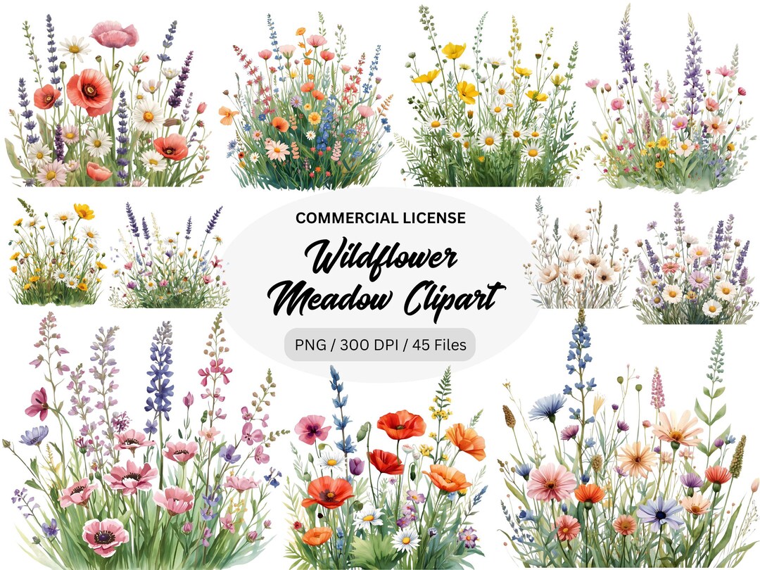 Wildflower Meadow Clipart Watercolor PNG Bundle, Botanical Flower Field ...