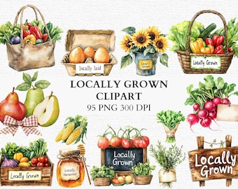 Watercolor Farm Clipart Bundle Locally Grown Vegetables and Fruits PNG Fruit Veggies Floral Stall PNG Rustic Market Stand Grocery Stickers