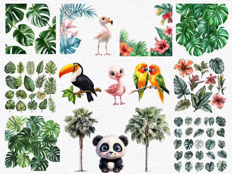 Cute Jungle Animals Clipart PNG Watercolor Safari Animal Clip Art Baby ...