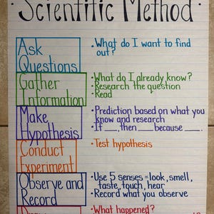 Può includere: Un poster bianco con linee blu che presenta il metodo scientifico. Elenca i passaggi in riquadri colorati: Ask Questions, Gather Information, Make Hypothesis, Conduct Experiment, Observe and Record e Draw Conclusions, con testo esplicativo.