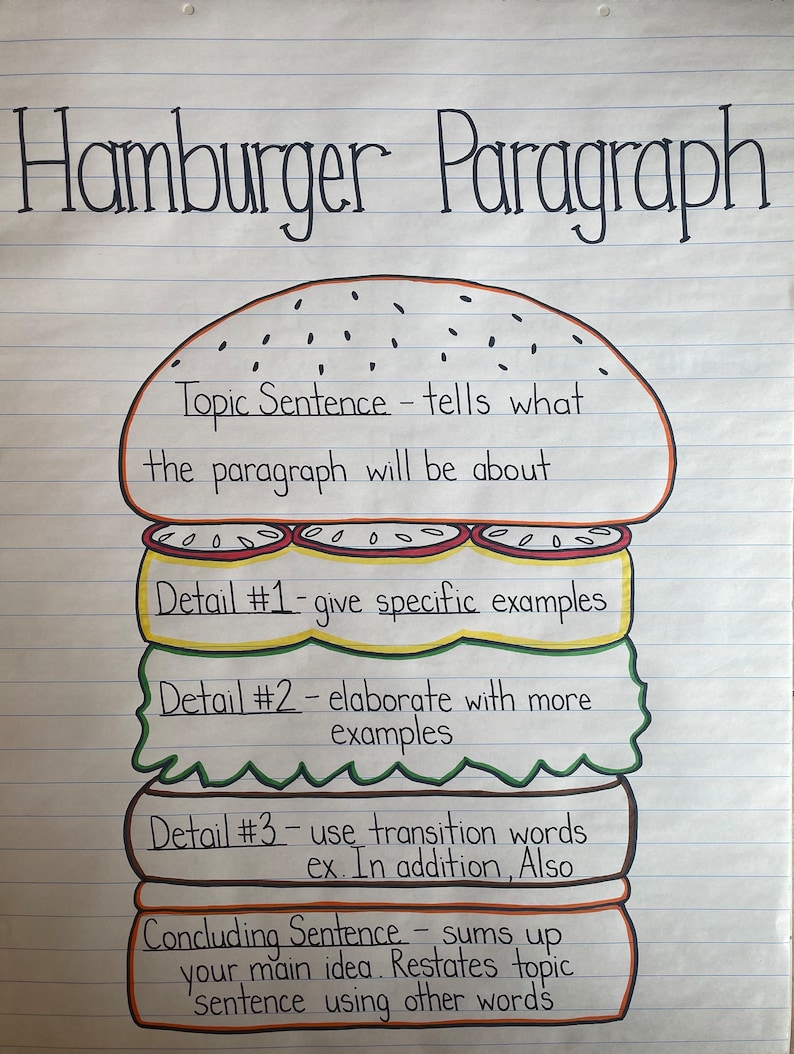 Laminated Hamburger Intermediate Paragraph Writing Skills Anchor Chart ...