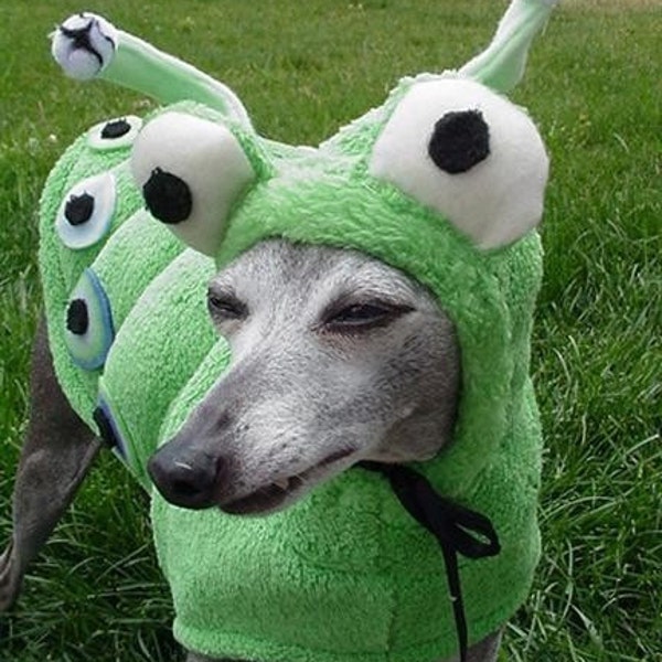 Handmade Halloween Dog Costume...Shhhh...it's a dogerpillar...