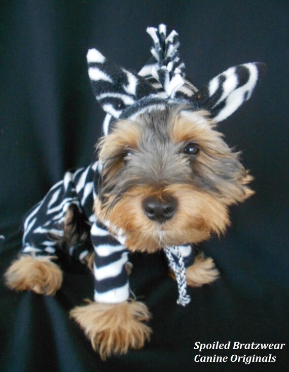 Items similar to Zebra Dog Jungle Jammies Halloween Costume for Italian