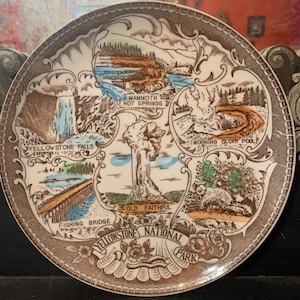 Antique English Ironstone Brown Transferware Plate Victorian Souvenier Cumberland Falls Kentucky Staffordshire Plate Wall  table brown plate