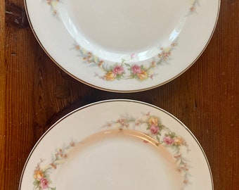 2 Vintage Cottagecore Grannycore Rose Broodborden Antieke Gerechten Plate Wall roze rozen gele rozen