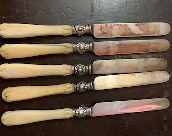 6 cuchillos antiguos con mango de celuloide con collares de placa de plata ornamentados cuchillos con mango de hueso, boticario gótico de mesa victoriana