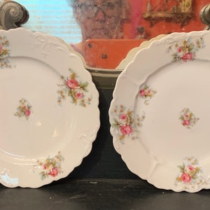 2 Antique 7&quot; Plates w Flowers  Transferware Parisian Decor Plate Wall antique Austrian Bread Plates tea party Baby Shower vintage gift