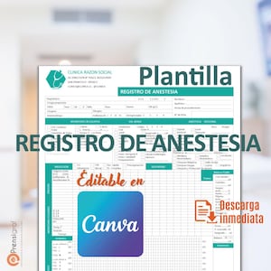 Anesthesia Record Template, Veterinary Anesthesia Log, Surgery Monitoring Form, Editable Canva Medical Chart, Digital Patient Record Sheet