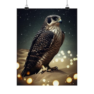Impression d'affiche animal cosmique « faucon » - impression d'art série carte Oracle - plusieurs tailles - affiches verticales mates de qualité supérieure - divination magique