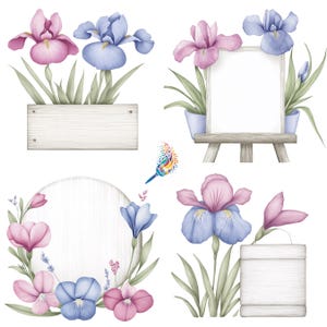 Ensemble de cliparts vierges de signes d'iris | Images numériques d'enseignes vierges florales pour scrapbooking, fabrication de cartes, travaux manuels | PNG à usage commercial | Pas d'arrière-plan