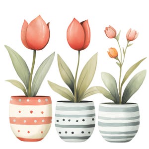 Pretty Coral Tulips Clip Art Set | Digital Spring Images For Scrapbooks, Card Making, Crafts | Commercial Use PNGs| Transparent Backgrounds