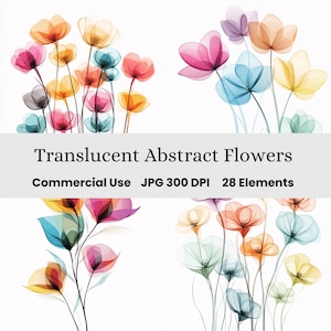 May include: An image featuring four arrangements of translucent abstract flowers in various colors, including pink, orange, yellow, blue, and purple. The text "Translucent Abstract Flowers" is displayed below the floral arrangements.