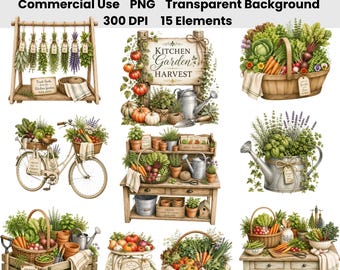 Ensemble d'images clipart aquarelle de récolte de potager | Potager de ferme, herbes fraîches, jardinage rustique, du jardin à la table (PNG)