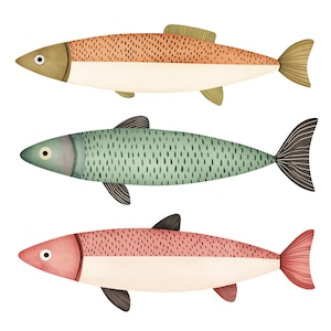 May include: Three stylized fish illustrations. The top fish is orange with a beige underbelly and a yellow fin. The middle fish is green with a white underbelly and black fins. The bottom fish is pink with a white underbelly and red fins.