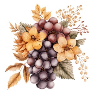 Trauben Clip Art Set | Digitale Früchte Bilder für Scrapbooks, Kartenherstellung, Kunsthandwerk | Kommerzielle Nutzung PNGs | Transparente Hintergründe
