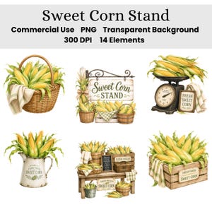 Könnte beinhalten: Eine digitale Sammlung von 14 Zuckermais-Stand-Elementen, darunter Körbe, Kisten, eine Waage und ein Krug, gefüllt mit gelben Maiskolben und grünen Blättern. Der Text umfasst Sweet Corn Stand, Fresh Sweet Corn und Farm Fresh auf verschiedenen Schildern.