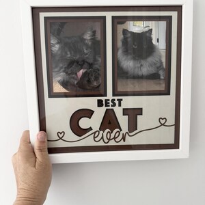 May include: A white framed wall decor piece featuring two rectangular photo inserts of a long-haired cat. Below the photos, the text reads BEST CAT ever in brown and black lettering, accented with two small heart outlines on the sides.