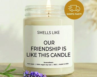 Funny Friendship Candle, Friend Birthday Gift, Gag Present, Soy Wax Candle