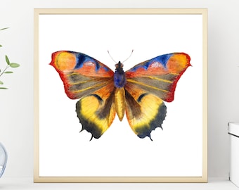 Orange-Monarchmacht-Schmetterling Digitaler Download - Vintage Schmetterling Wandkunst, druckbare Naturdruck, sofortige botanische Kunst, Insektenillustration