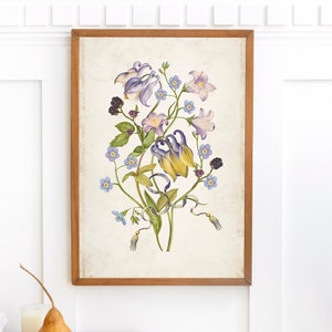 Vintage Floral Print, Columbine Purple Flower Drawing Print, Archival Botanical Floral Decor Wall Art, Antique Illustration Picture Prints