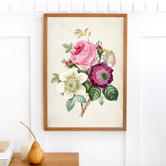 Vintage Cabbage Rose Anemone Flower Drawing Print, Archival Botanical Floral Decor Wall Art, Antique Illustration Prints