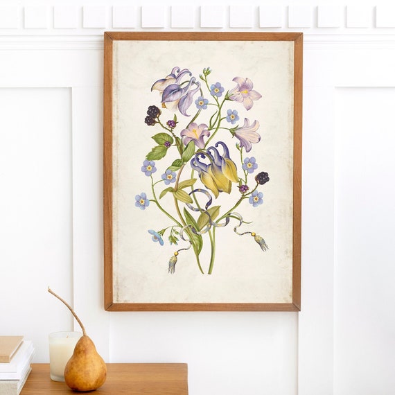 Vintage Floral Print, Columbine Purple Flower Drawing Print, Archival Botanical Floral Decor Wall Art, Antique Illustration Picture Prints