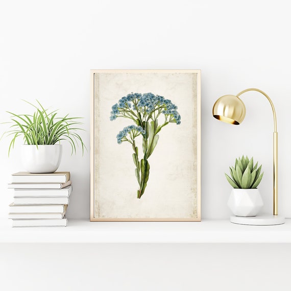 Blue Statice Flower Drawing Print, Archival Vintage Botanical Floral Decor Wall Art, Antique Illustration Prints