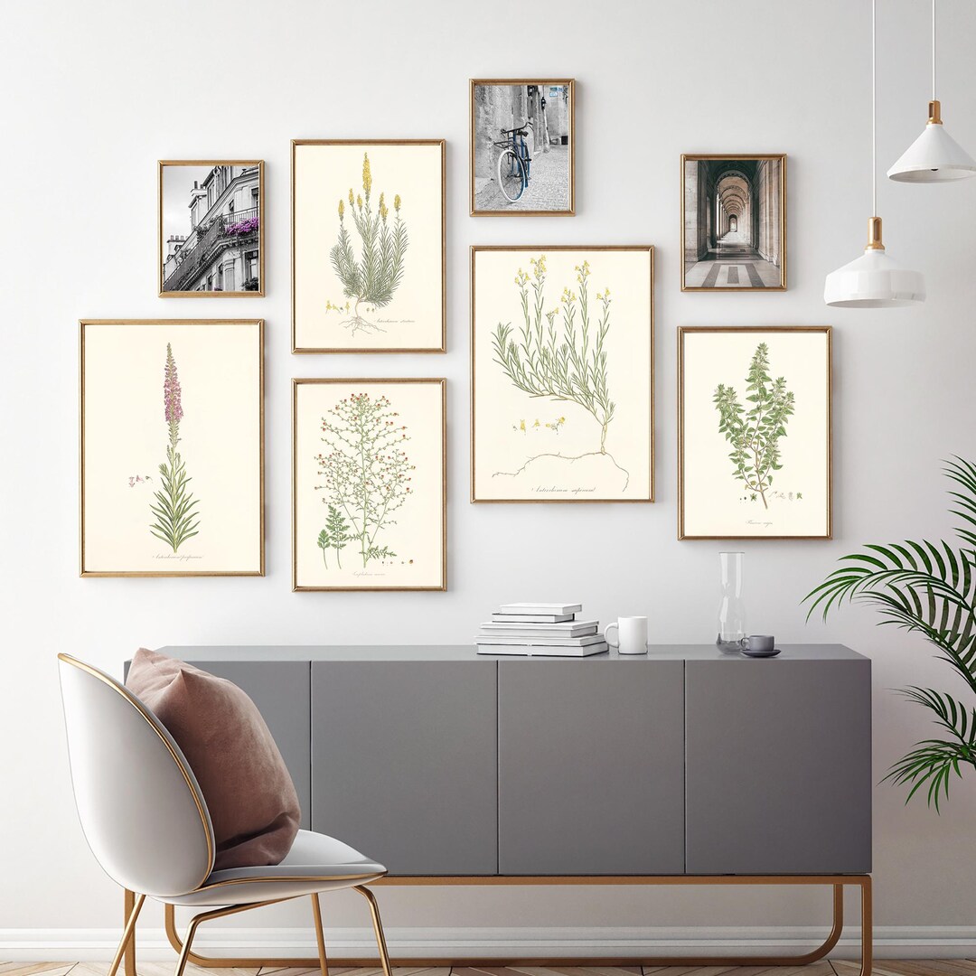 Set of Five Vintage Botanical Art Prints, Vintage Modern Archival Wall ...