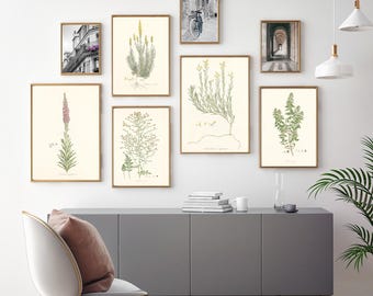 Set of Five Vintage Botanical Art Prints, Vintage Modern Archival Wall Art Set, Botanical Wall Art Print Sets, 5 Nature Prints Decor